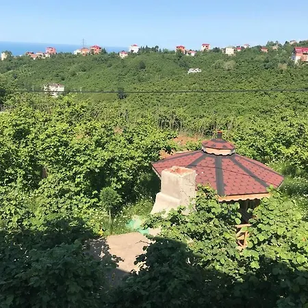Holiday home Deniz Ve Orman Manzarali Mustakil Ev